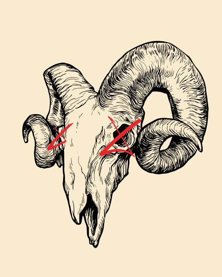Alquimist Bode BW (108 de 282) - Copia